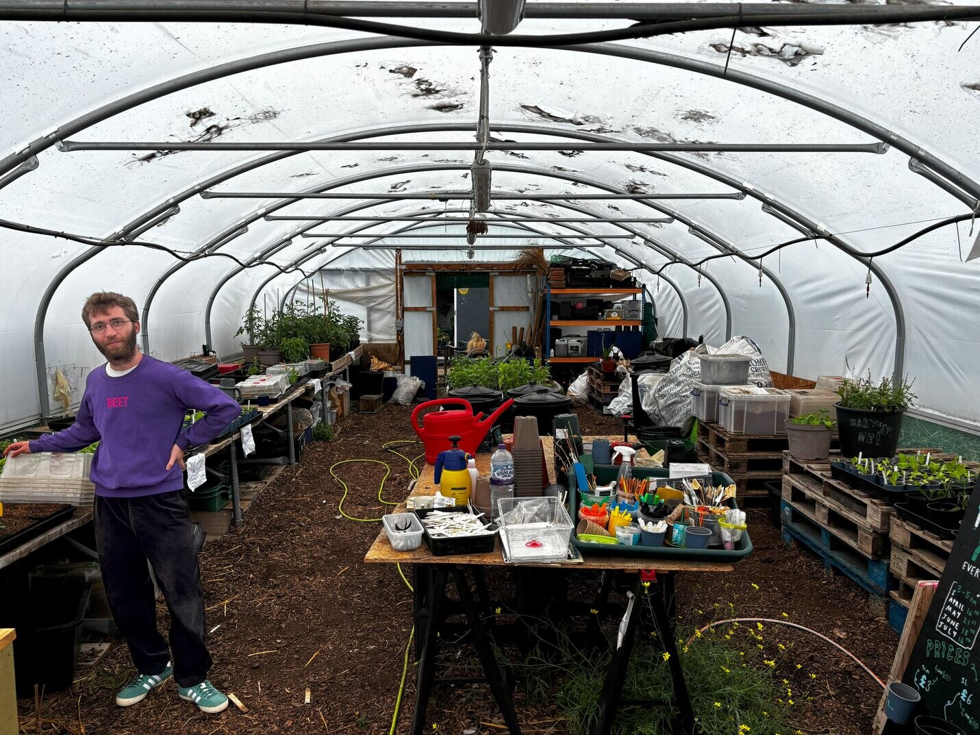 Omri in polytunnel