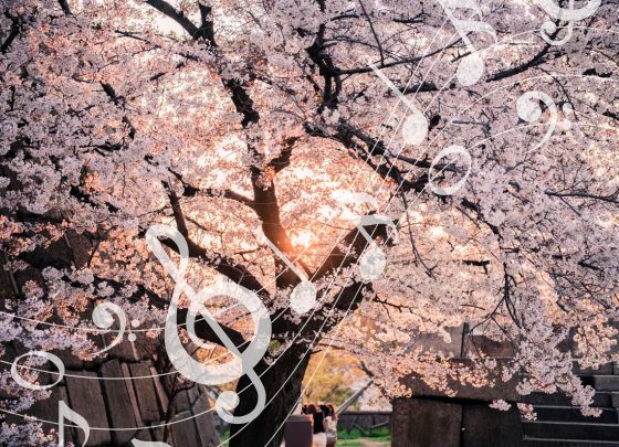 Cherry Blossoms with music notes over the top