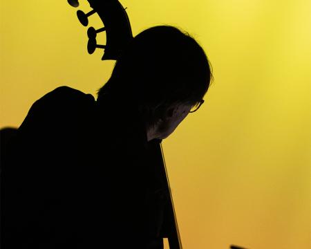 double bass with yellow background