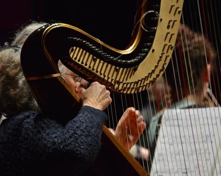 An image of a harpist at A Catalan Celebration rehearsal
