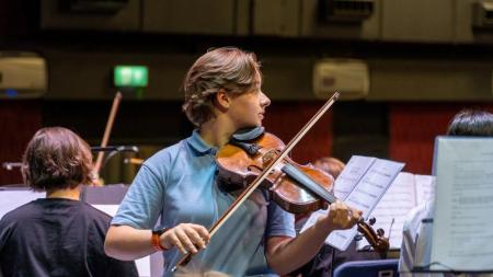 Violin