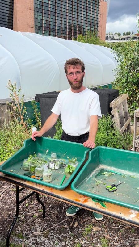 Omri helping with cuttings