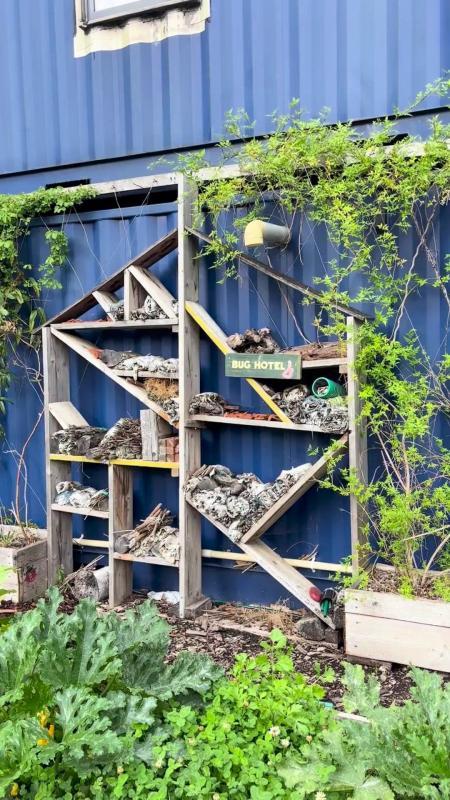 Bug Hotel