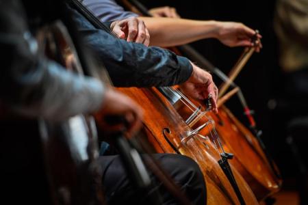 Strings c Monika S Jakubowska