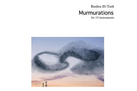 Bushra El-Turk: murmurations