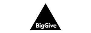 Big Give logo