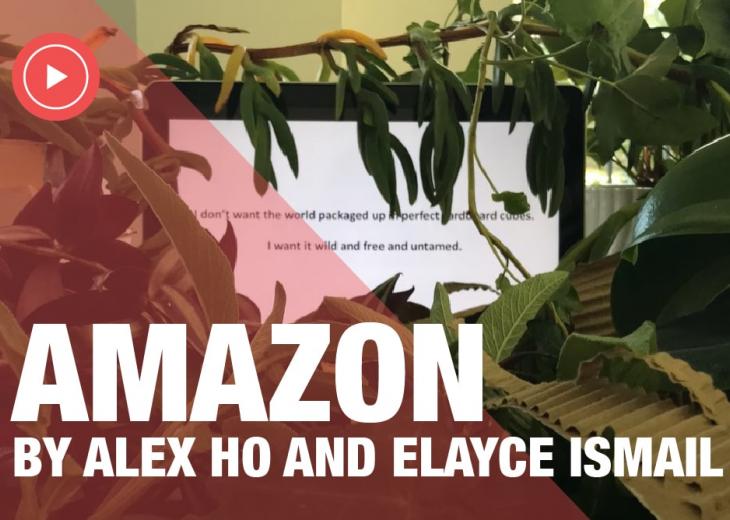 Amazon