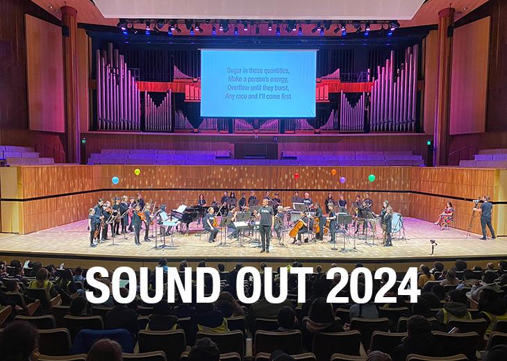 image from the sound out 2024 concert